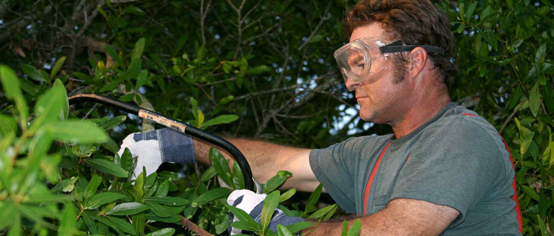 garden clearance UB6